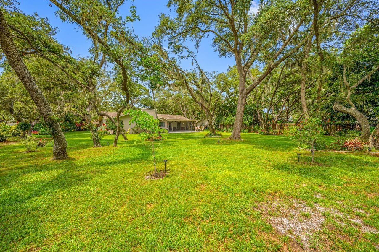 2827 Pheasant Run, Clearwater, FL 33759 Photo