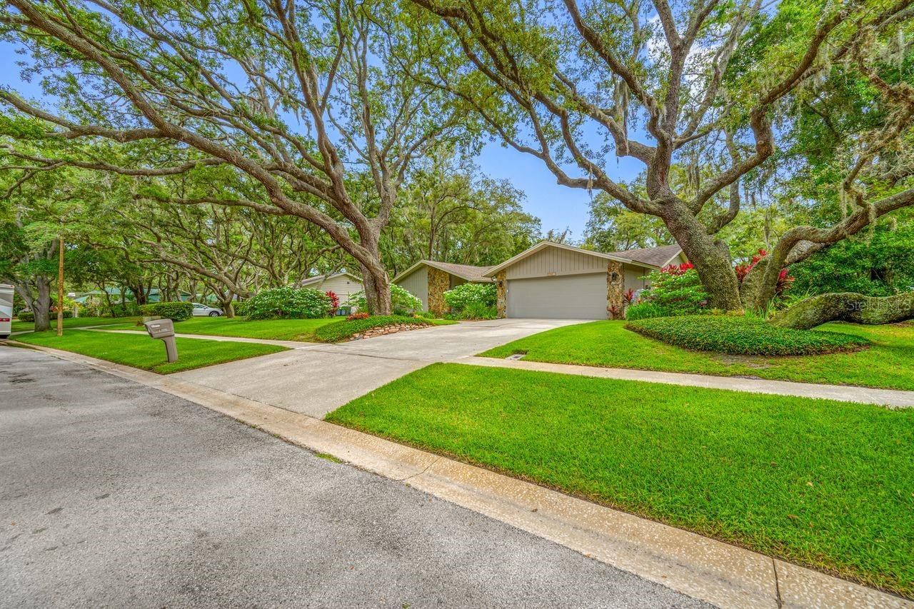 2827 Pheasant Run, Clearwater, FL 33759 Photo