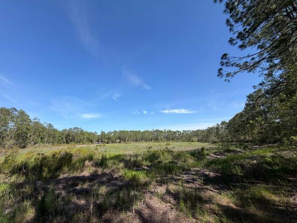 TBD NE 114 AVE ROAD , FORT MC COY, FL 32134