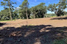 141b Coffin Point Road  photo 4