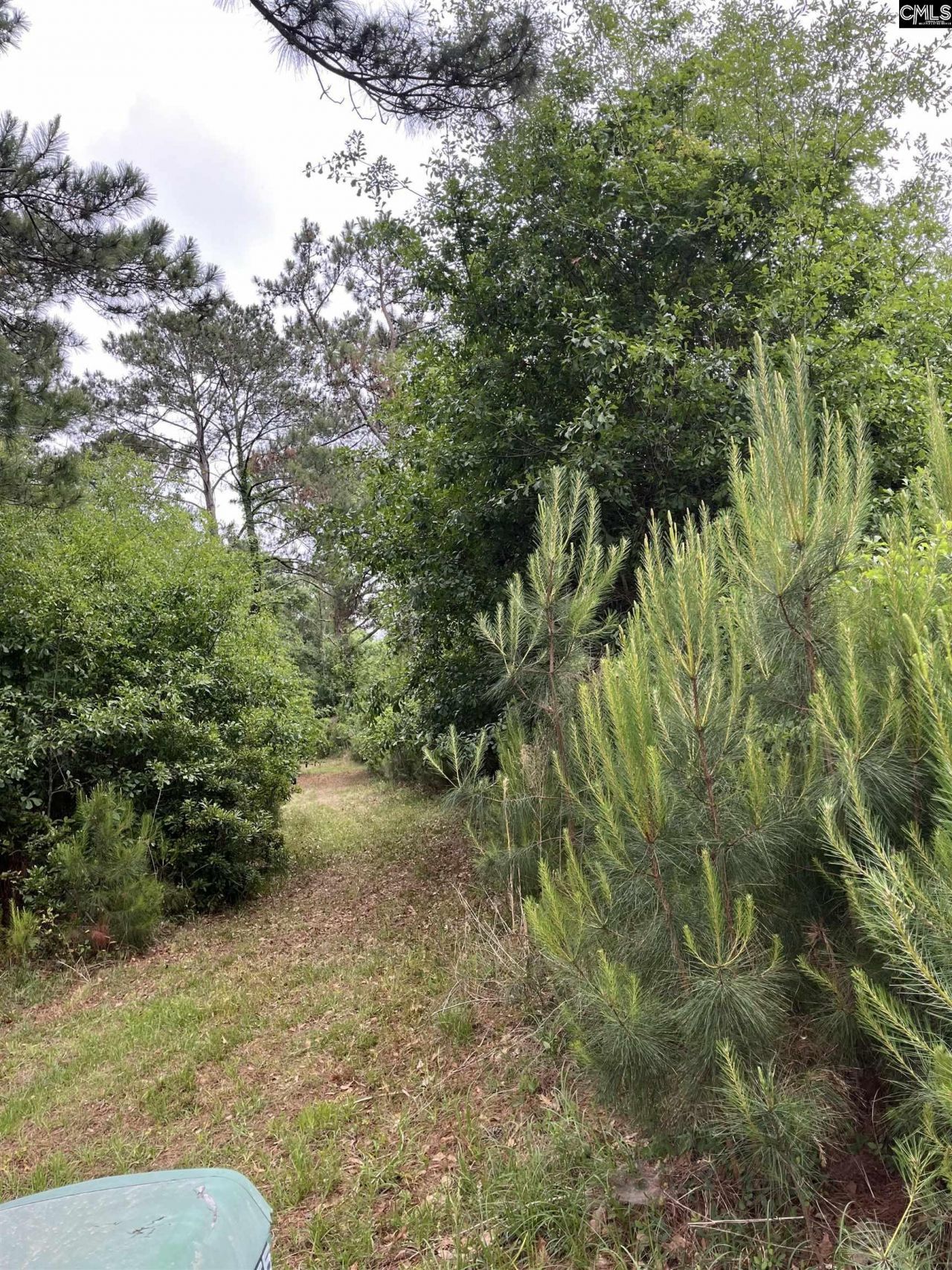 141b Coffin Point Road  Photo 4