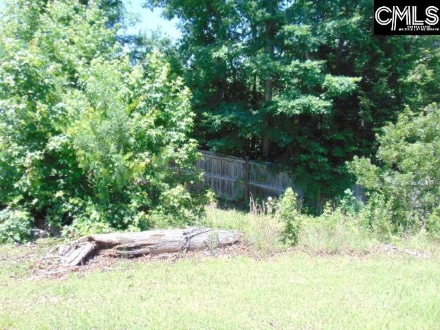 392 Blythe Creek Drive  Photo 25
