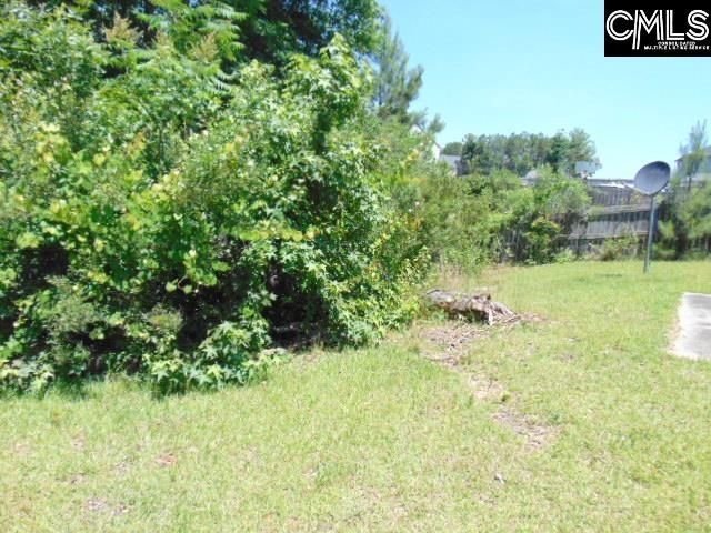 392 Blythe Creek Drive  Photo 26