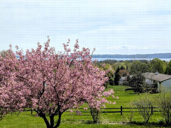 9754 Harbor Hills Drive E, Traverse City, MI 49684
