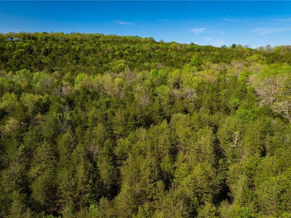 401 CR 246 , Berryville, AR 72616