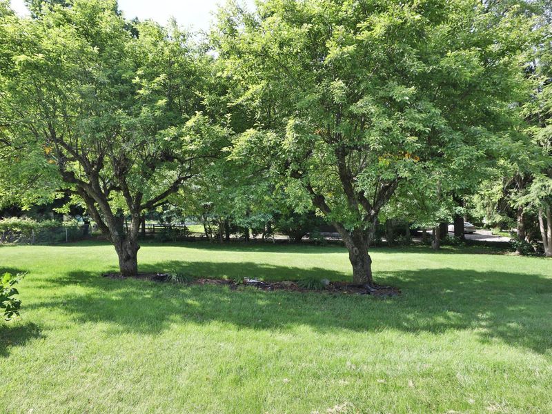 275 Blandford Drive, Worthington, OH 43085 Photo 53