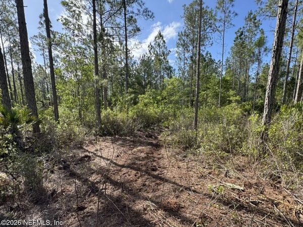 114 WOMP Lane, Palatka, FL 32177