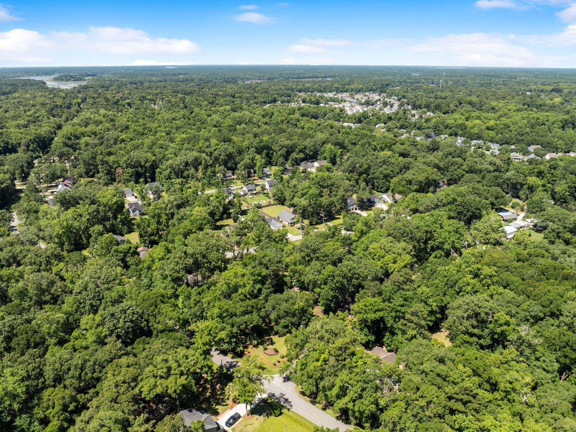 1940 Gasque Street Photo 29