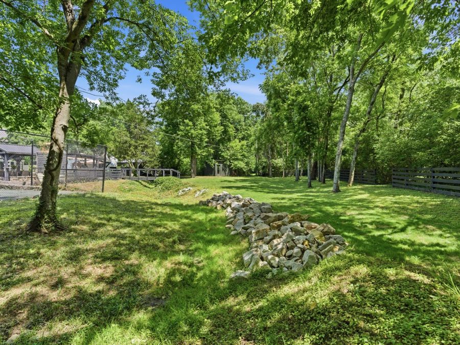 Property Image 79