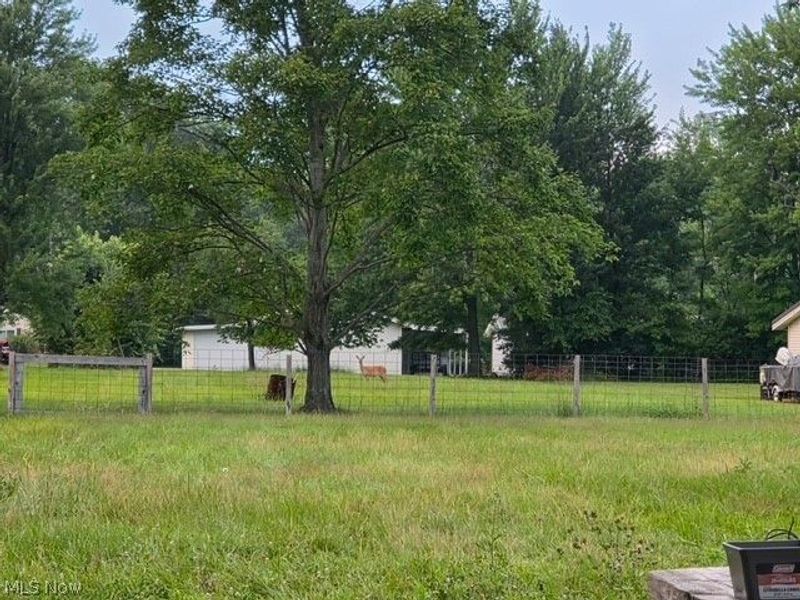 41386 Schadden Road, Elyria, OH 44035 Photo 17