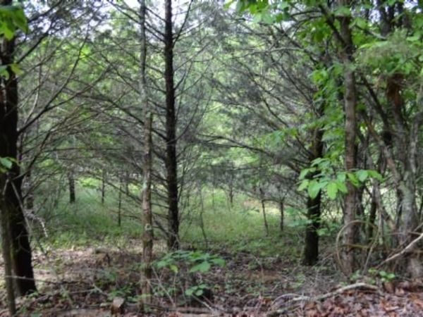 9ac Circle Rd, Burkesville, KY 42717