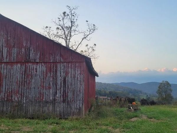 1768 Wilder Hwy, Crawford, TN 38554