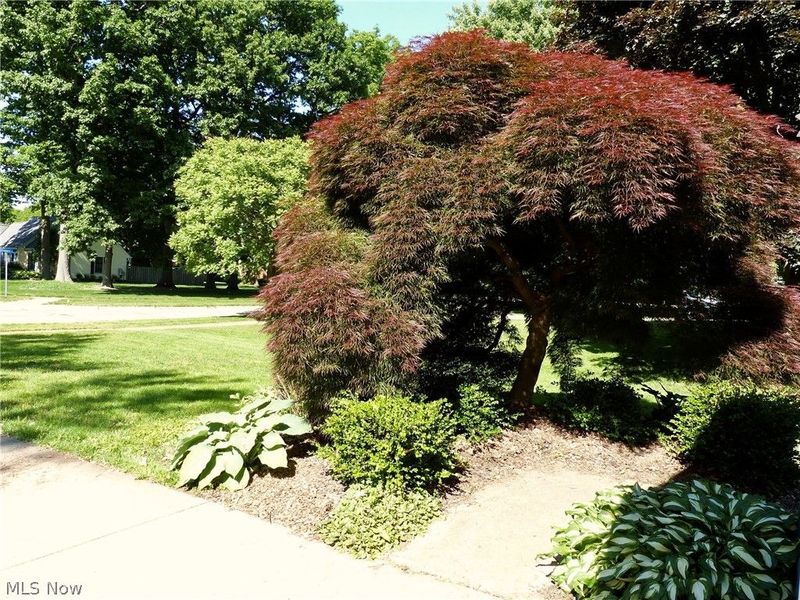 9144 Gregory Court , Mentor, OH 44060 Photo 42