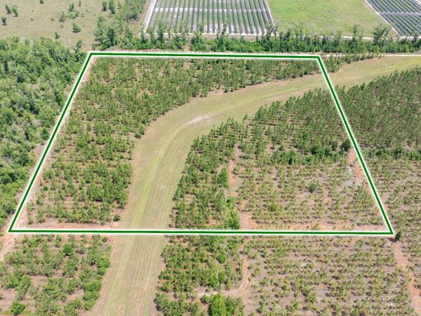 TBD 199TH PL, Live Oak, FL 32060