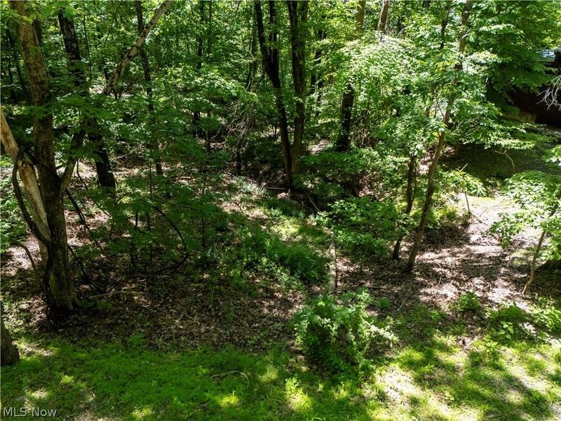 16135 Township Road 211 , Unit 477-478-47, Loudonville, OH 44842 Photo 2