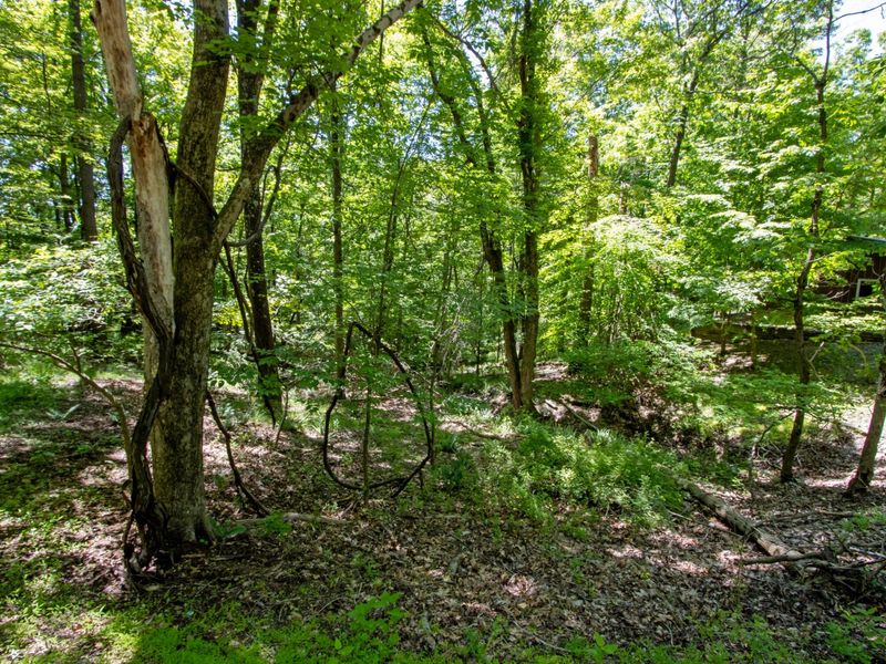 16135 Township Road 211 , Unit 477-478-47, Loudonville, OH 44842 Photo 2