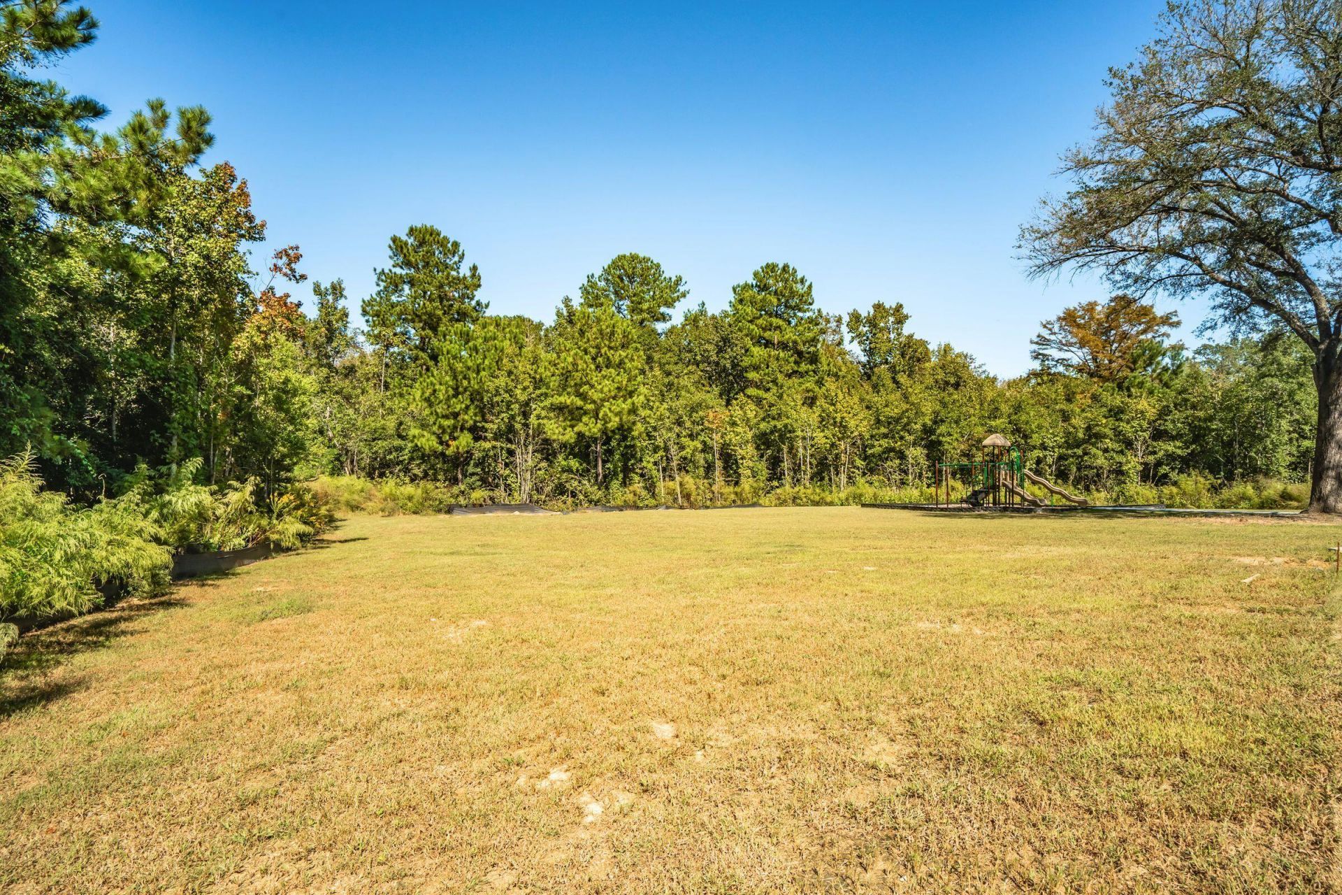110 Cainwalker Road Photo 49