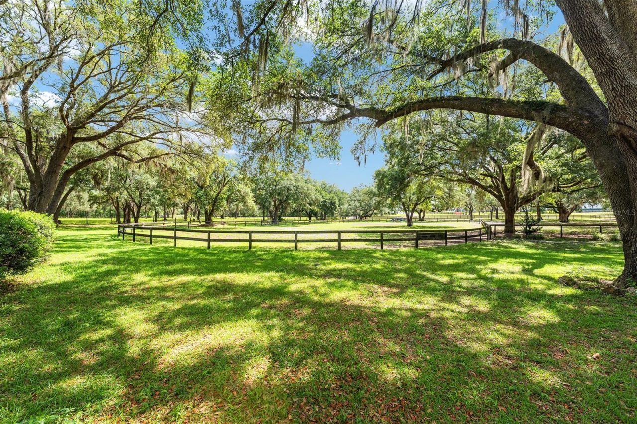 10871 SE County Road 336, Morriston, FL 32668 Photo