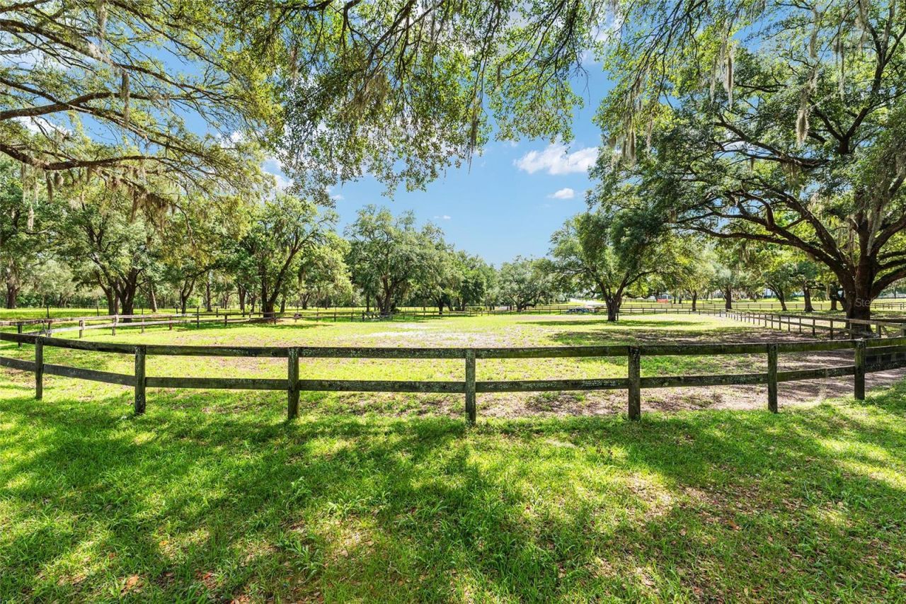10871 SE County Road 336, Morriston, FL 32668 Photo