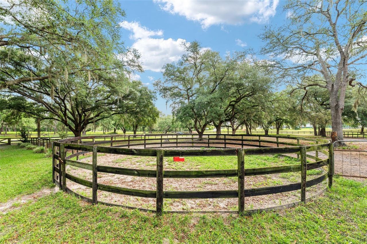 10871 SE County Road 336, Morriston, FL 32668 Photo