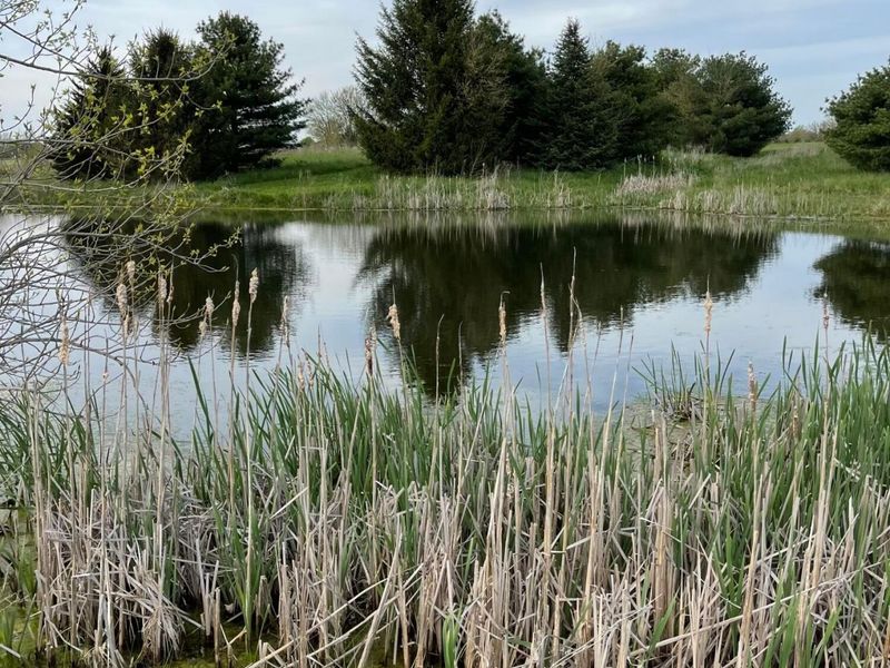 14300 State Route 38 SW, South Solon, OH 43153 Photo 85