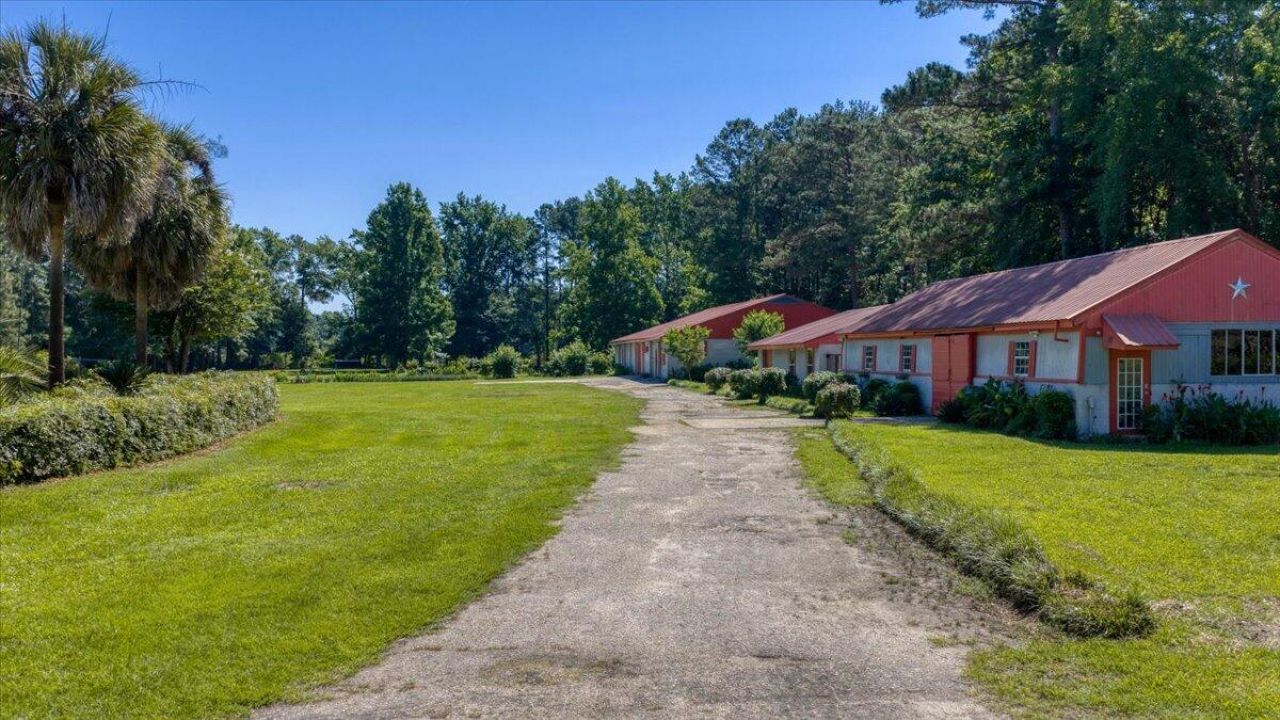 3121 Camden Highway Photo 113