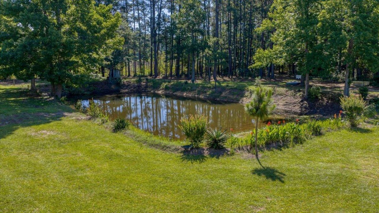 3121 Camden Highway Photo 118