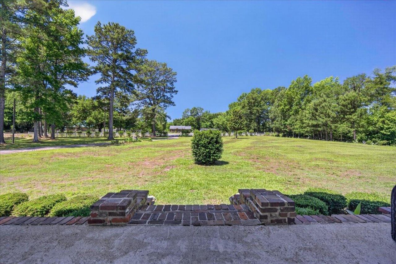 3121 Camden Highway Photo 8