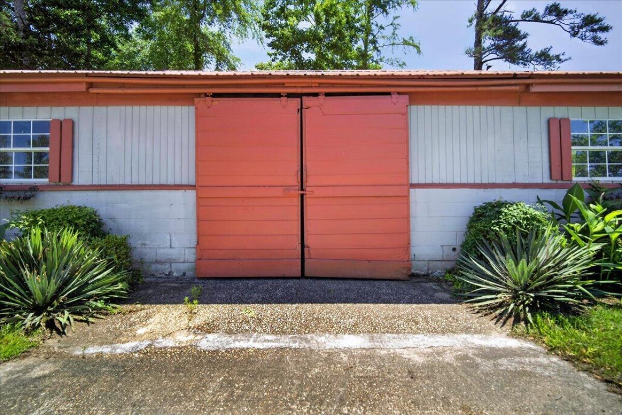 3121 Camden Highway Photo 81