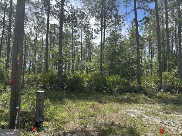 57 Lakeview Drive, Folkston, GA 31537