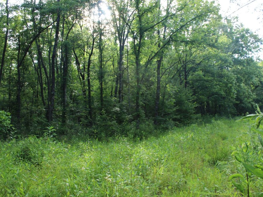Property Image 38