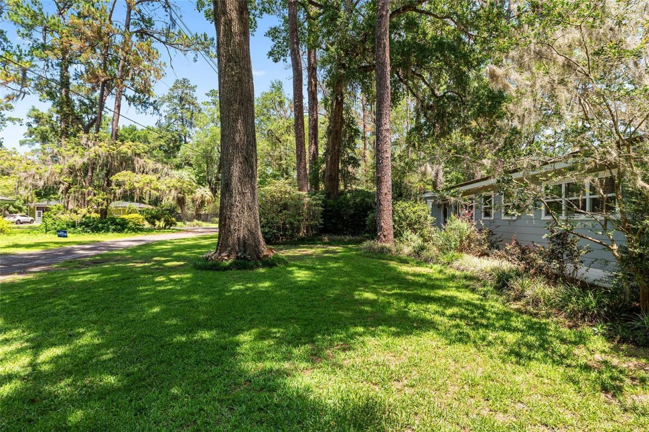 1807 SW 36th Place, Gainesville, FL 32608 Photo