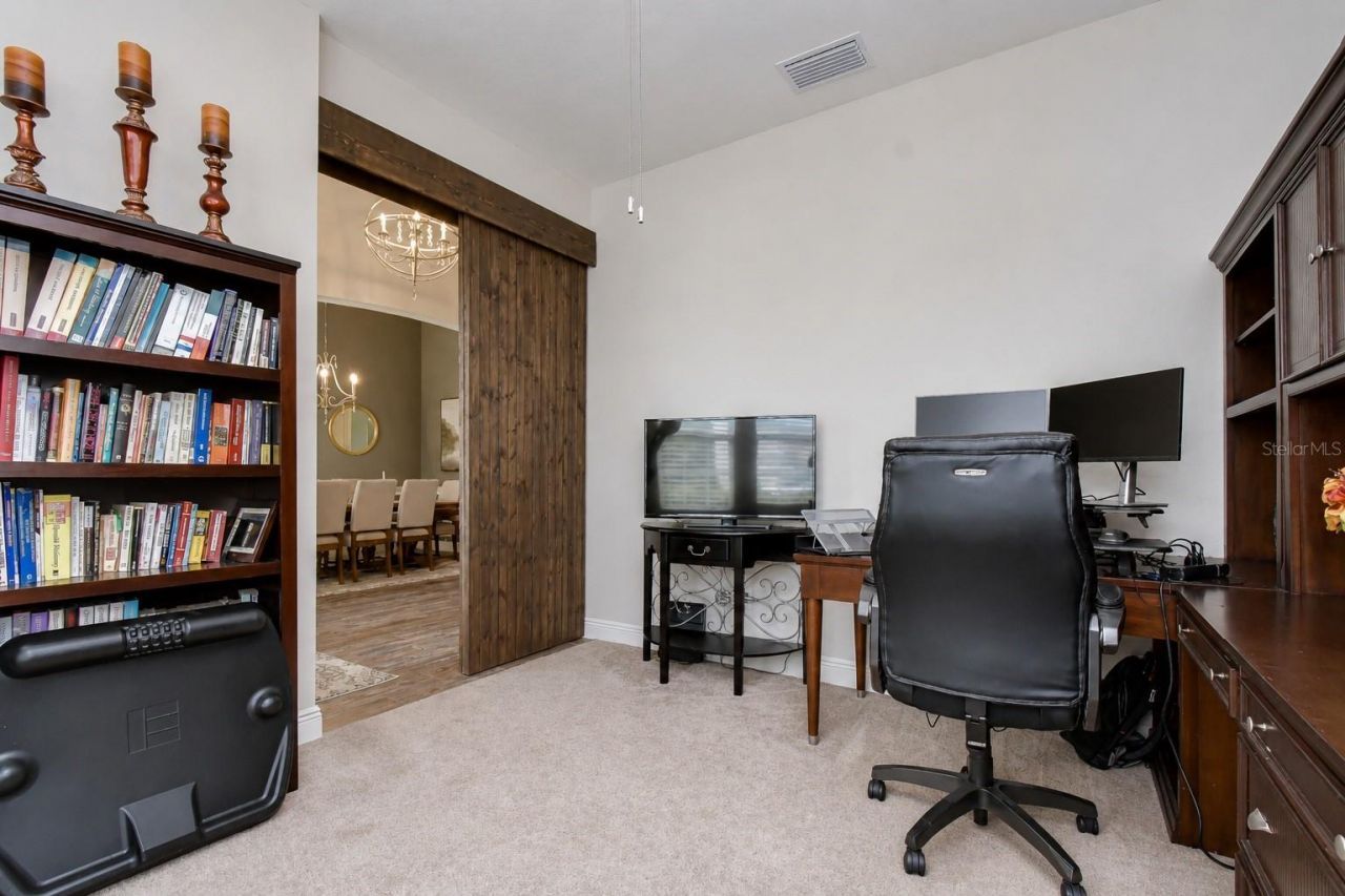 6335 Knob Tree Drive, Lithia, FL 33547 Photo