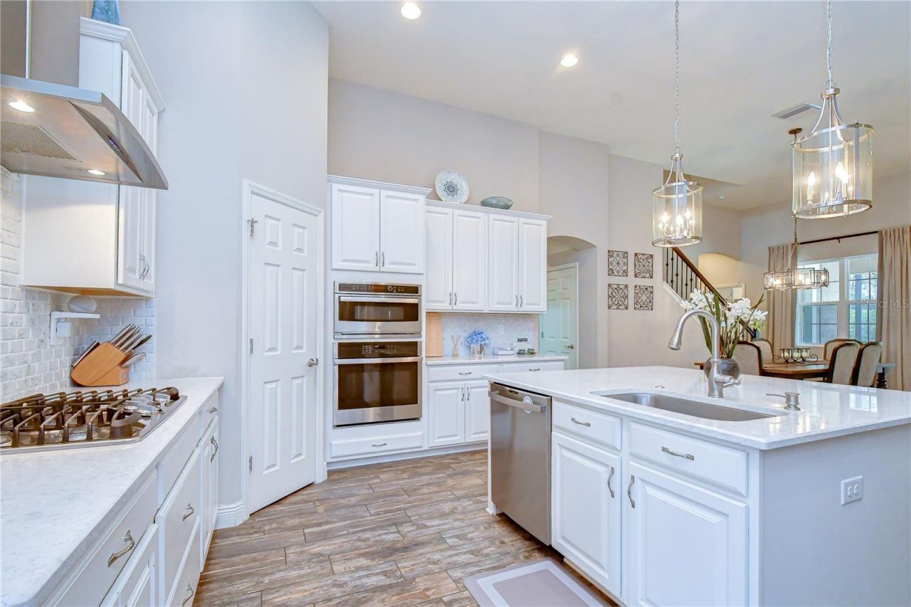 6335 Knob Tree Drive, Lithia, FL 33547 Photo