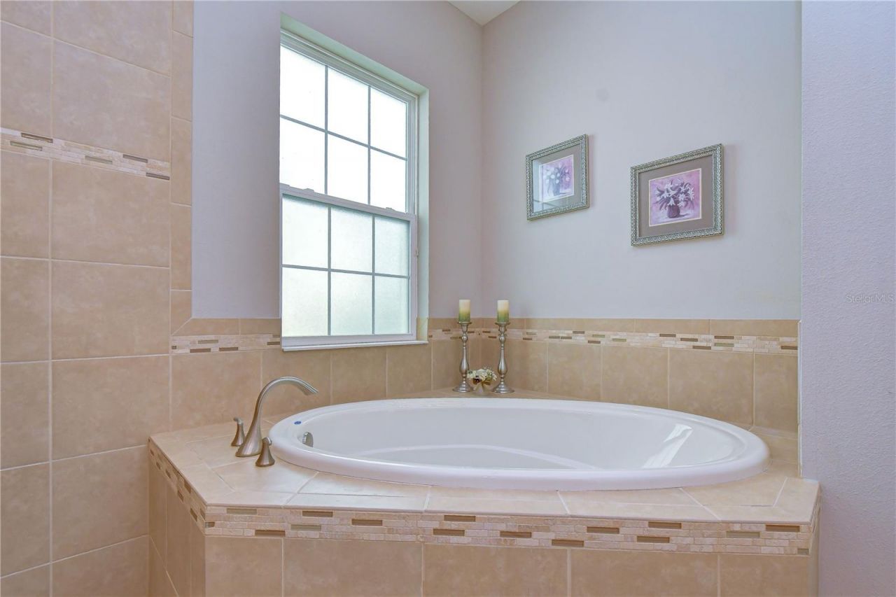 6335 Knob Tree Drive, Lithia, FL 33547 Photo