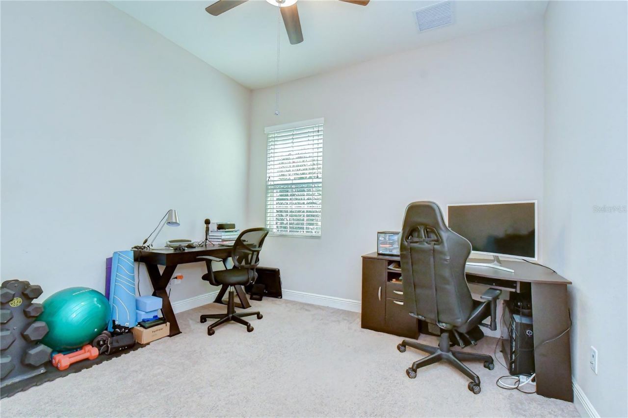 6335 Knob Tree Drive, Lithia, FL 33547 Photo