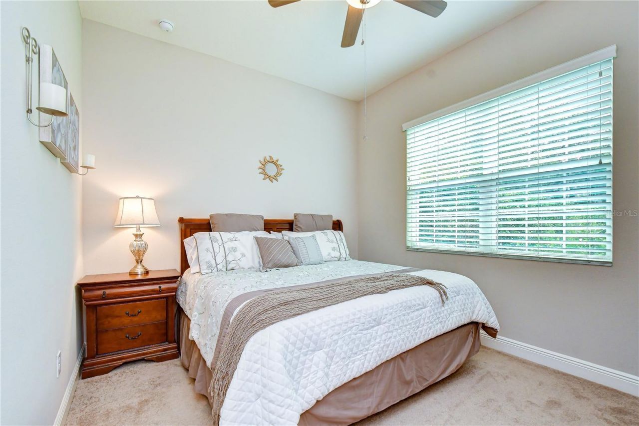 6335 Knob Tree Drive, Lithia, FL 33547 Photo