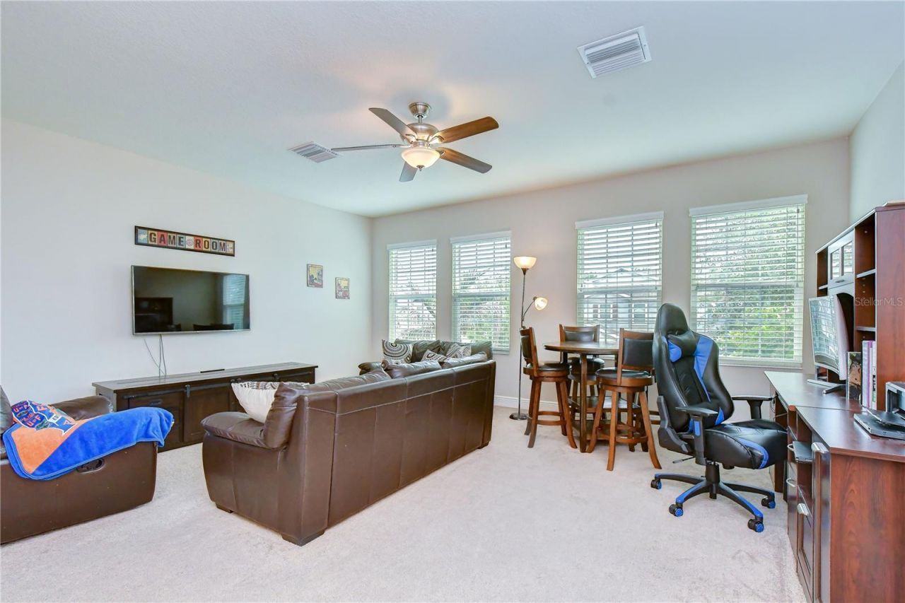 6335 Knob Tree Drive, Lithia, FL 33547 Photo