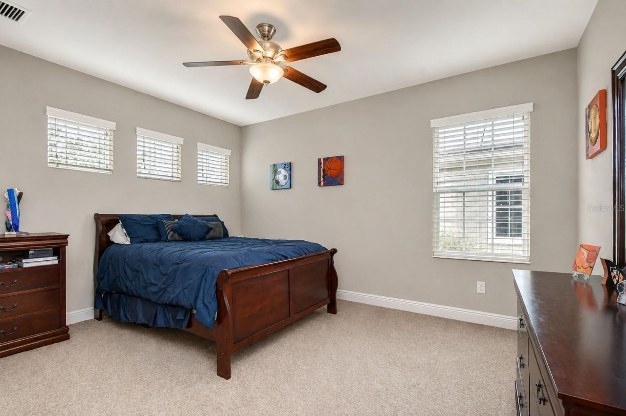6335 Knob Tree Drive, Lithia, FL 33547 Photo