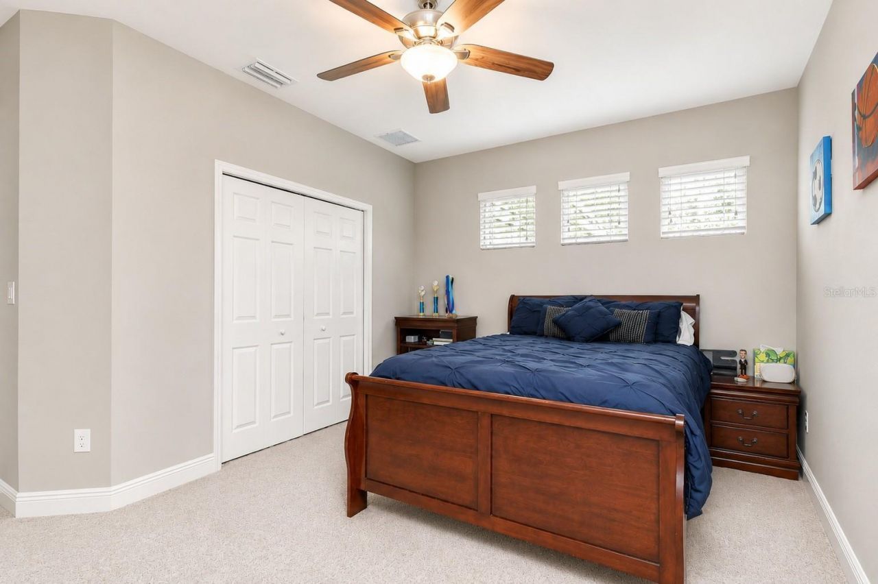 6335 Knob Tree Drive, Lithia, FL 33547 Photo