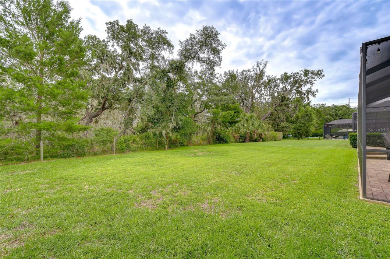6335 Knob Tree Drive, Lithia, FL 33547 Photo