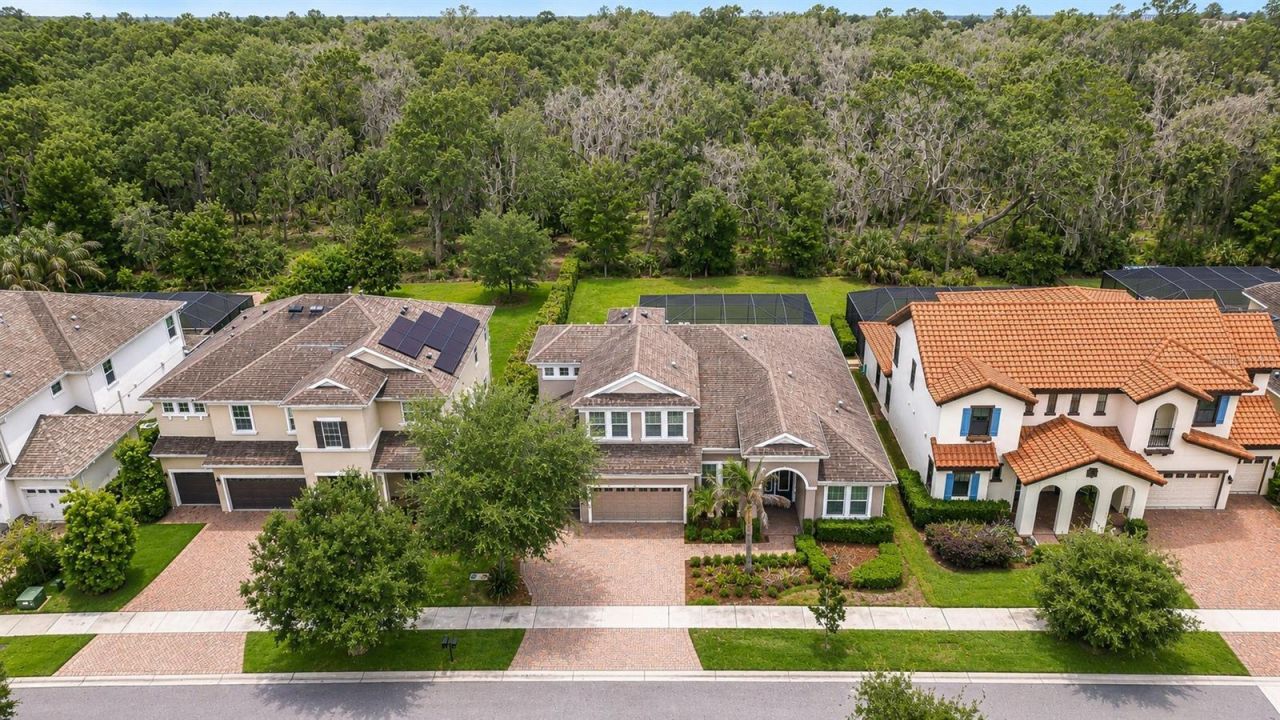 6335 Knob Tree Drive, Lithia, FL 33547 Photo