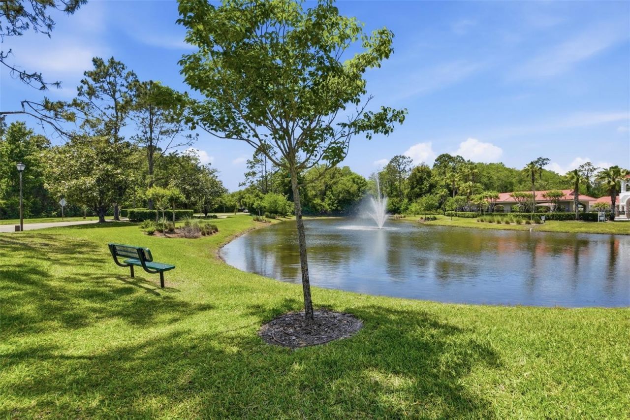11027 Summerspring Lakes Drive , Orlando, FL 32825 Photo