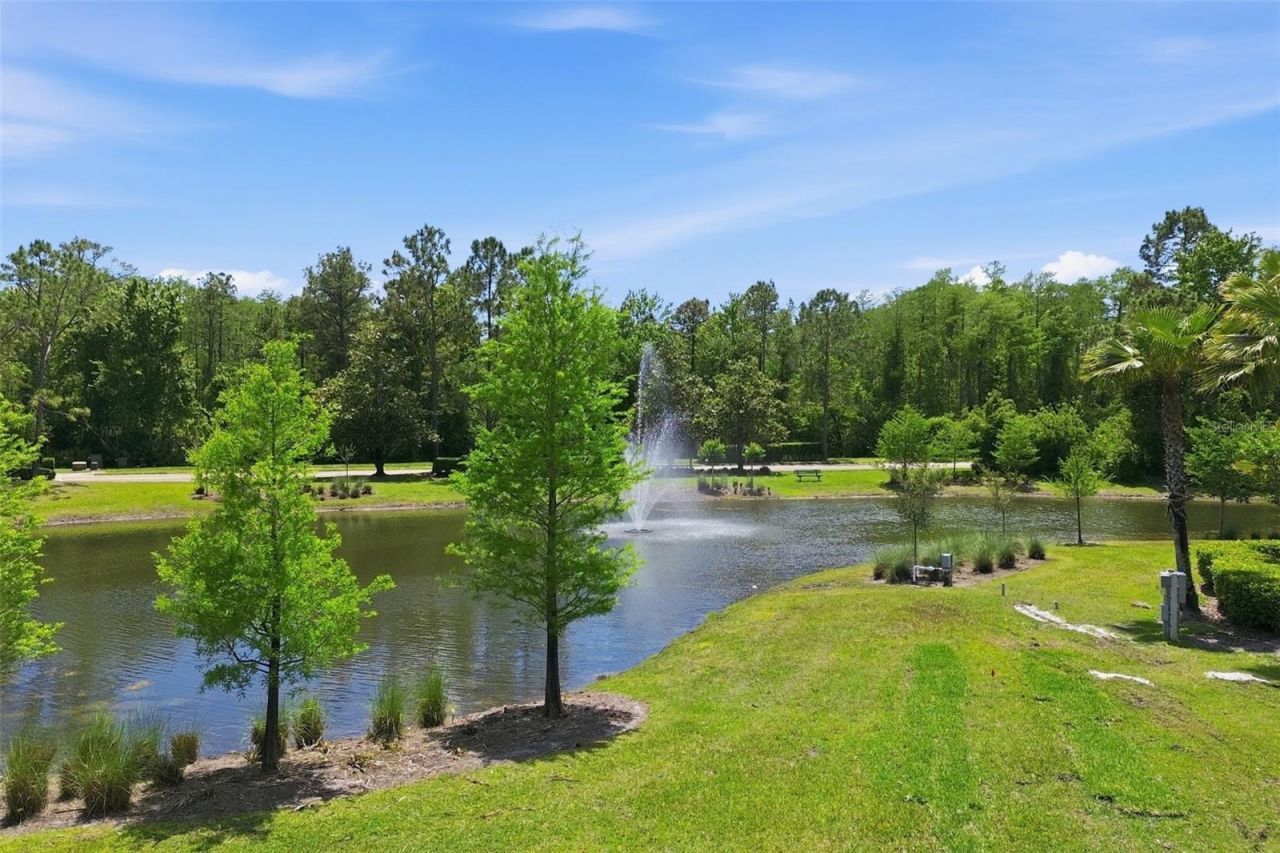 11027 Summerspring Lakes Drive , Orlando, FL 32825 Photo