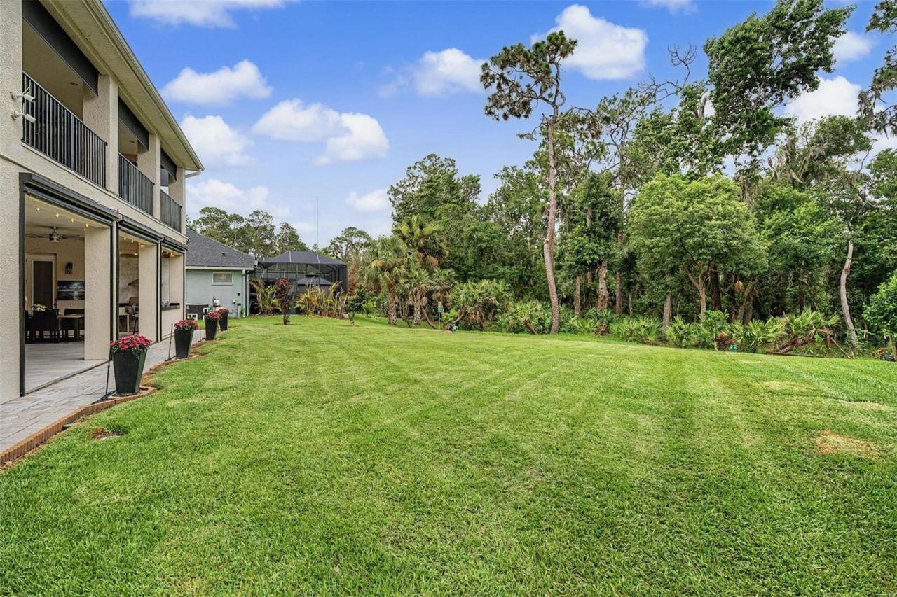 5116 Abisher Wood Lane, Brandon, FL 33511 Photo