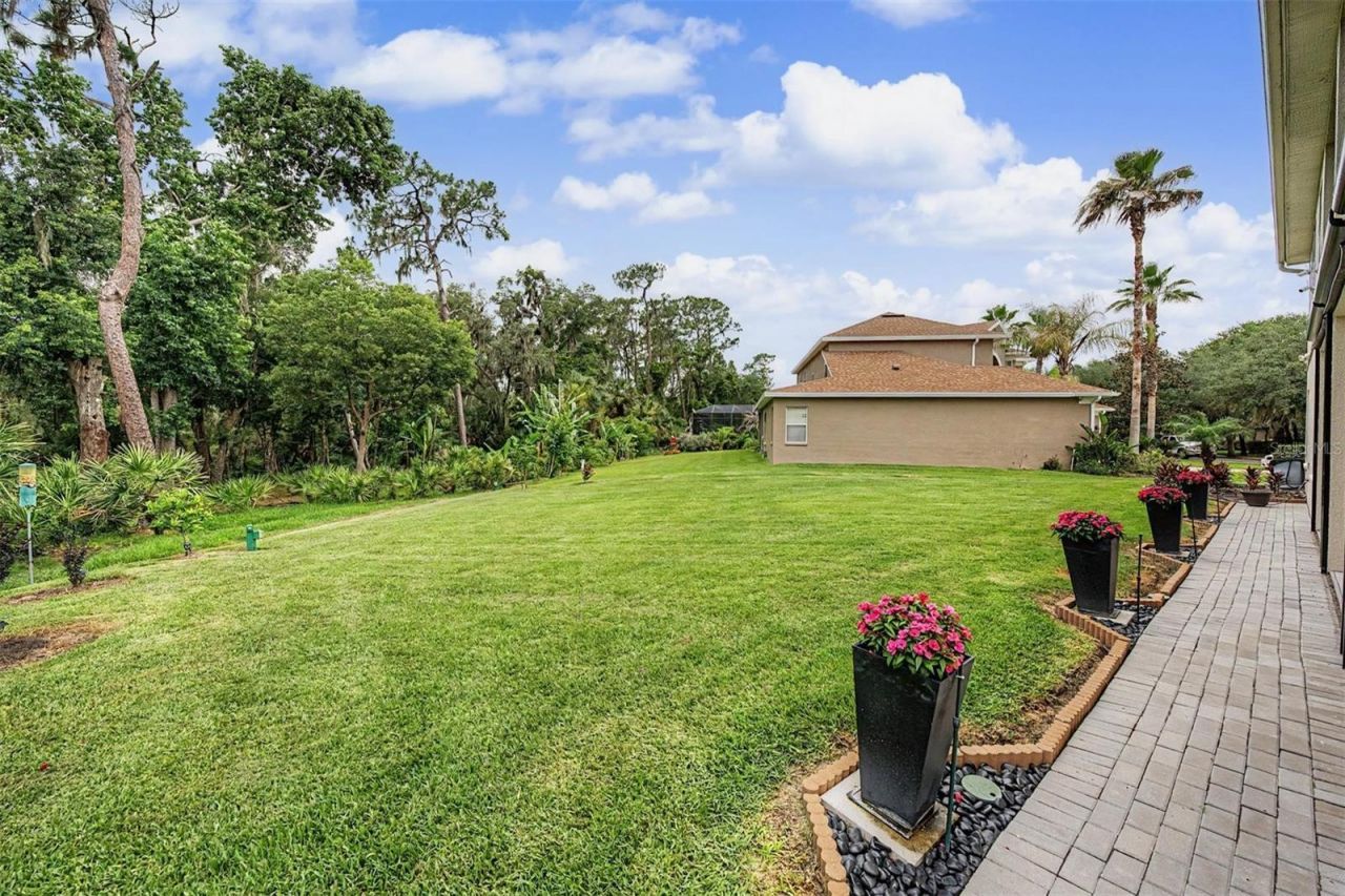 5116 Abisher Wood Lane, Brandon, FL 33511 Photo