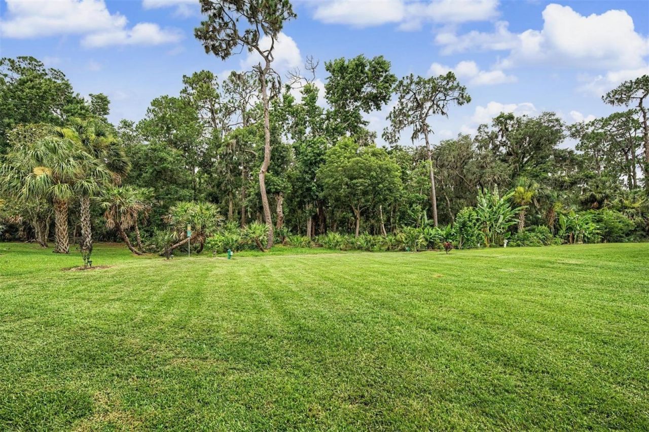 5116 Abisher Wood Lane, Brandon, FL 33511 Photo