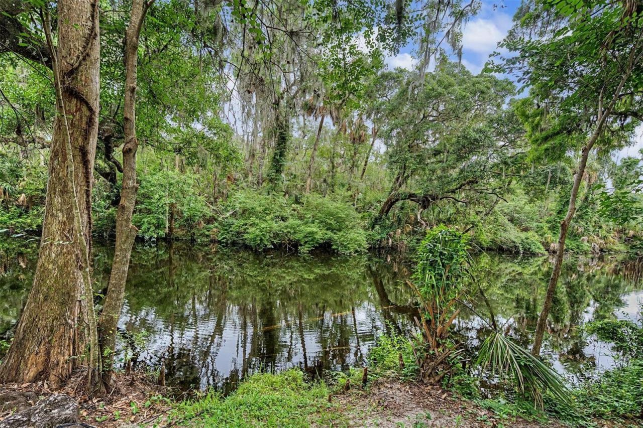 5116 Abisher Wood Lane, Brandon, FL 33511 Photo