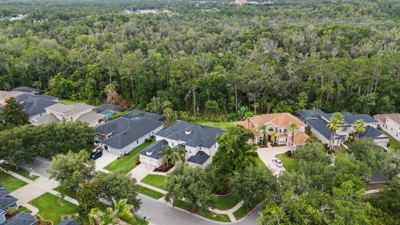 5116 Abisher Wood Lane, Brandon, FL 33511 Photo