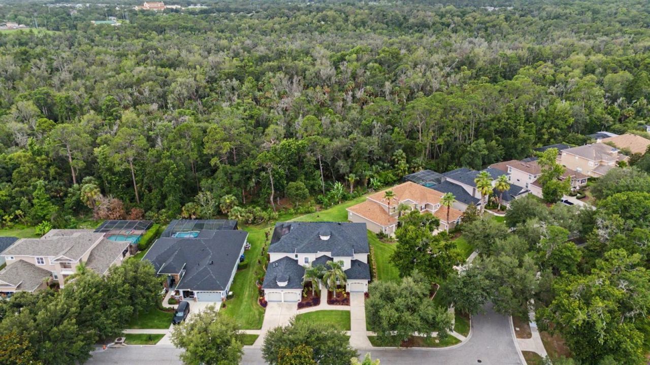 5116 Abisher Wood Lane, Brandon, FL 33511 Photo